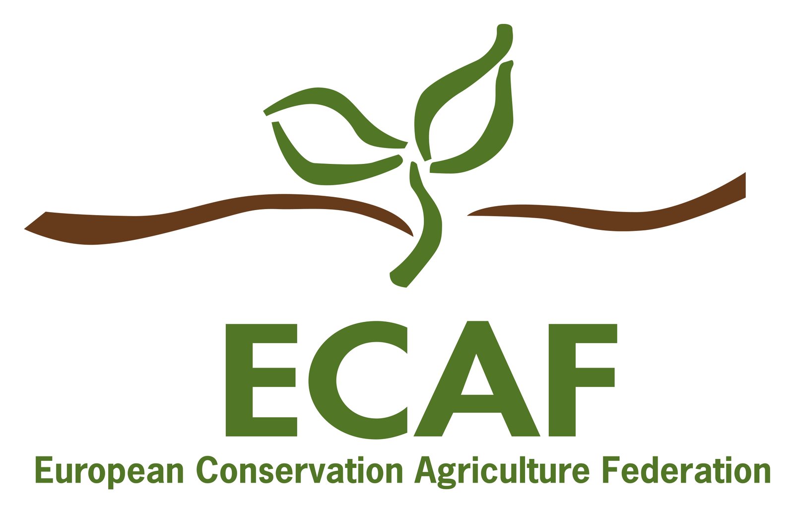 ECAF